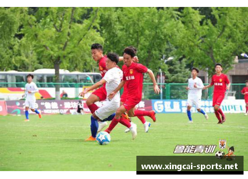 法比奥：足球之路与个人成长